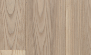 ash-raw-thumbnail-300x450_9049b864-21cc-4847-ae81-86c17f217905.png